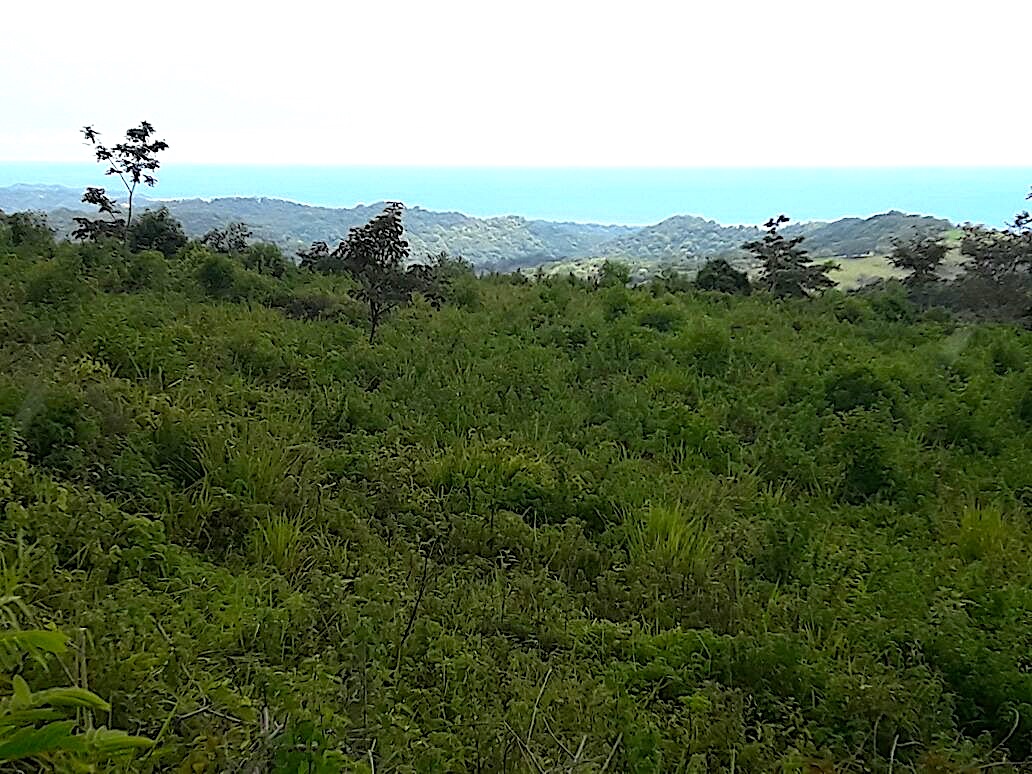 Finka Grundstück Costa Rica mit Meersicht in Guanacaste verkaufen
