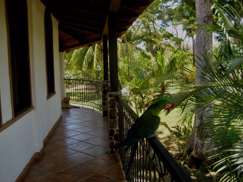 Blog Bananenrepublik Costa Rica