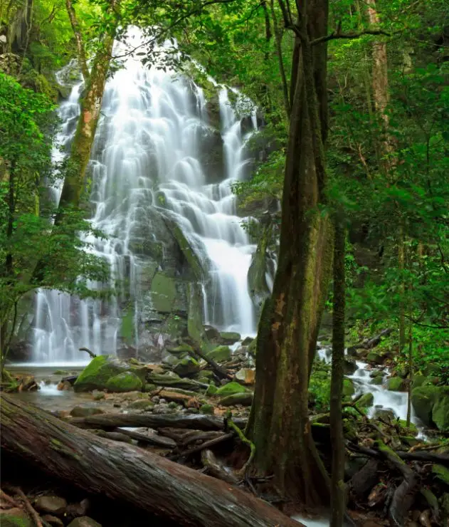 Ausflug Rincón de la Vieja, costa Rica
